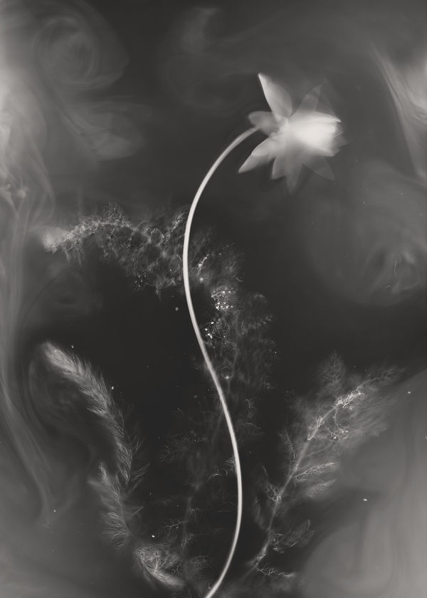 Yumiko Izu, 2020 Utsuroi 166, 2020