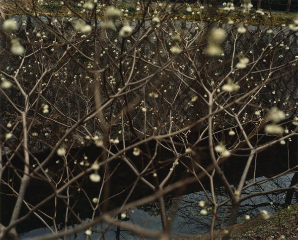 Yoko Ikeda, 0095-06 Kyoto City, Kyoto Prefecture, 2007