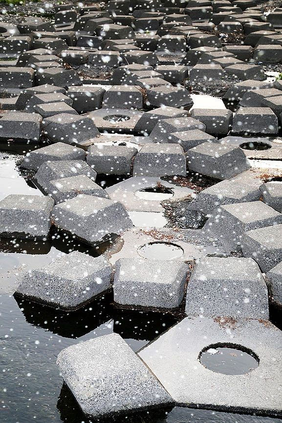 Yoshinori Mizutani, Yusurika 046, 2015