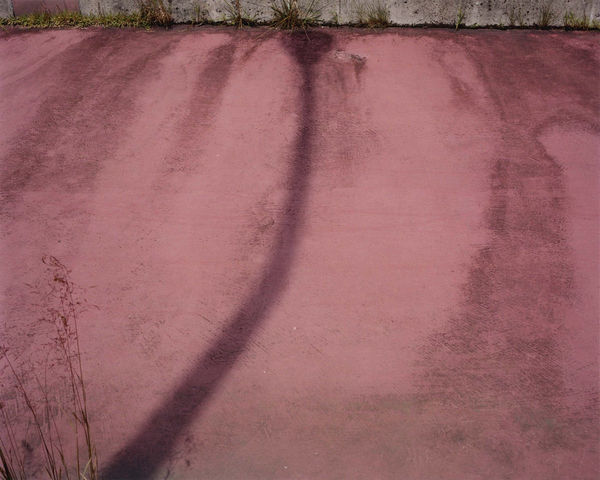 Yoko Ikeda, 0343-08 Taiwa Town, Miyagi Prefecture, 2008