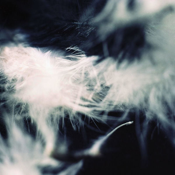 Kumi Oguro, KAT_8, 2018