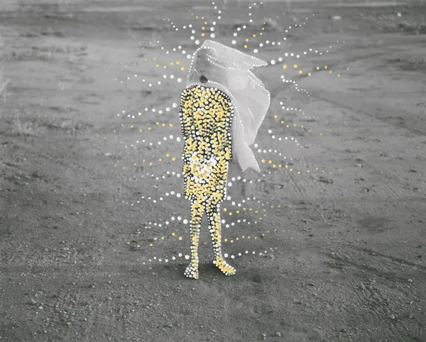 Patrick Waterhouse, Which Way? Jarra. Restricted with Jessica Napanangka Lewis, 2014-2018