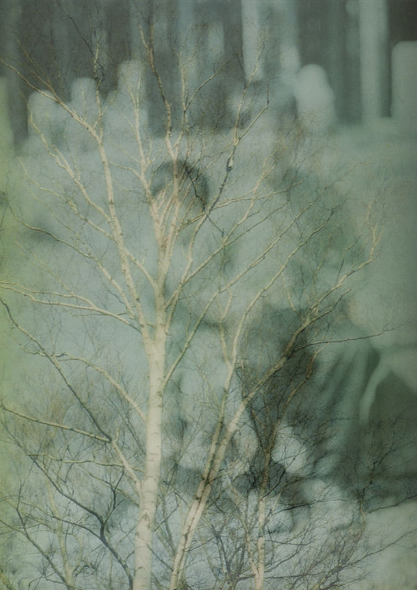 Hanayo, Untitled, 2002/2021