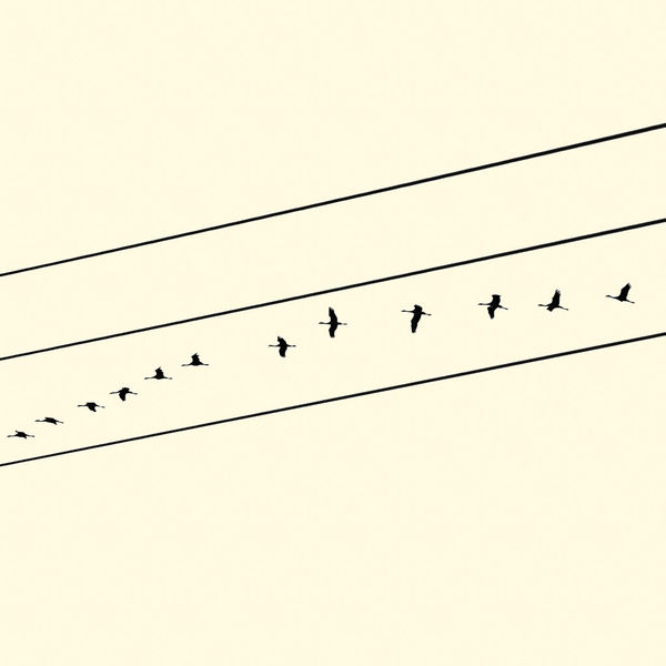 François Laxalt, Douze II / Twelve II, 2012