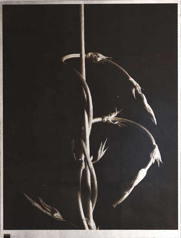 Norio Takasugi, gc-3, 2019