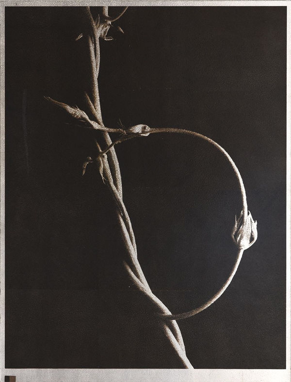 Norio Takasugi, gc-2, 2019