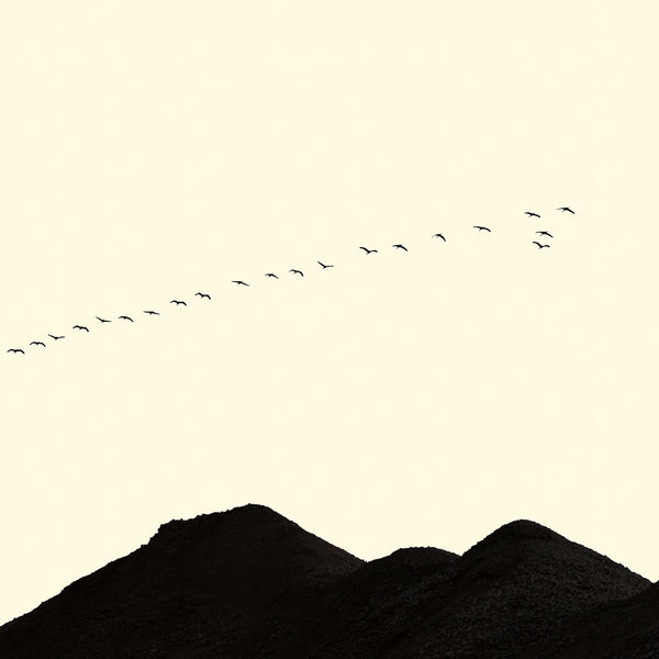 François Laxalt - Vingt et Un / Twenty one, 2015