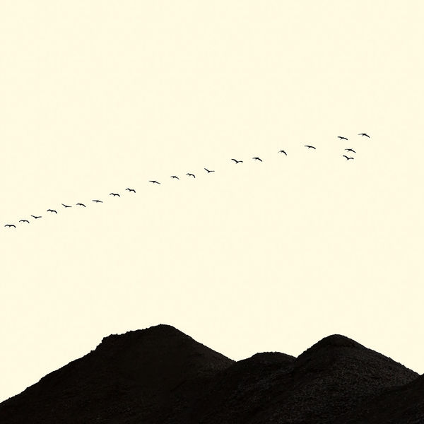 François Laxalt, Vingt et Un / Twenty one, 2015