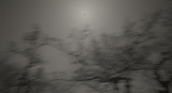 Keiichi Ito, F1375, 2019