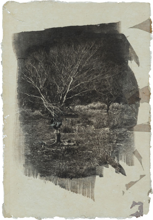 Ali Uchida, Untitled, 2023