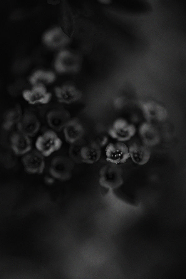 Shimpei Yamagami, Epiphany 32, 2018-2021