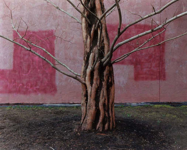 Yoko Ikeda, 1036-01 Salem, MA USA, 2013