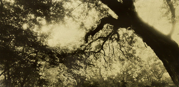 Naohiro Ninomiya, Glanage-47, 2021