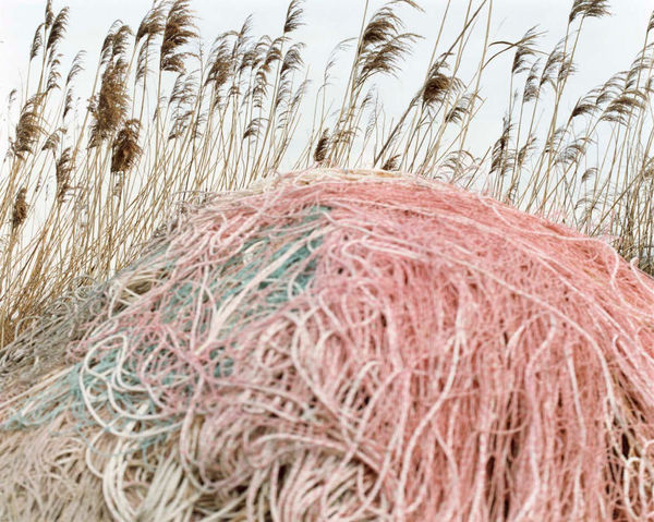 Yoko Ikeda, 1936-04 Yokosuka City, Kanagawa Prefecture, 2021