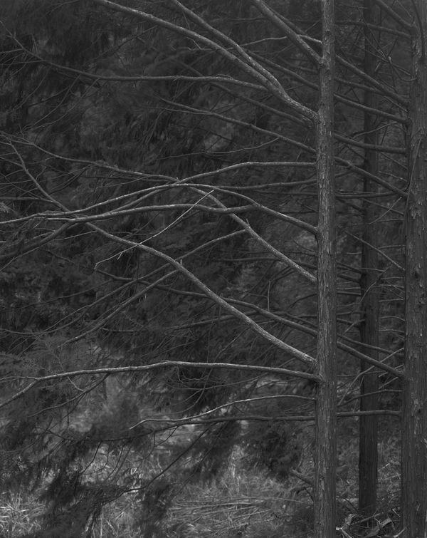 Gerry Johansson, East of Tsushima, Ehime, Japan, 1999