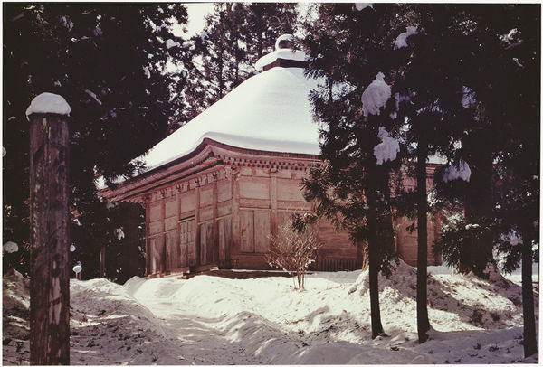 Ken Domon, Koji Junrai - Plate 086, 1963-1972