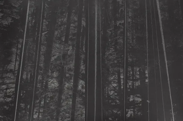 Marco Tagliafico, Luminous beings, Contact 2, 2019