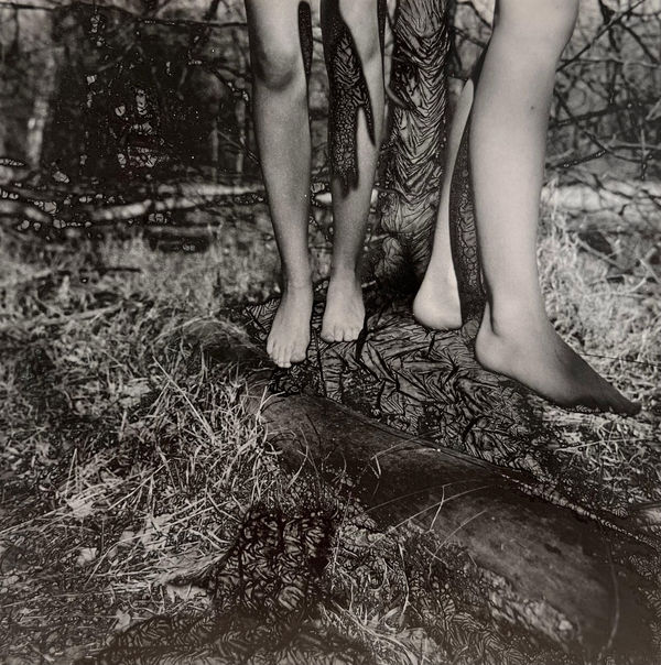 Ingrid Dorner, Liminal.II.18 (3358)