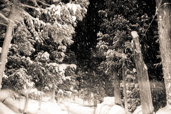 Yukari Chikura, Zaido 33, 2012-2017