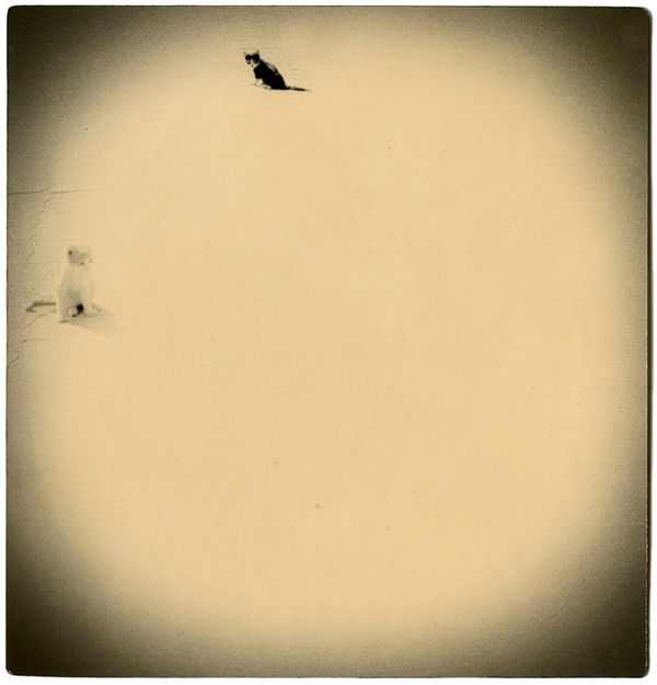 Miho Kajioka, BK0572, 2003