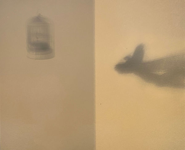 Miho Kajioka, BK0510, 2018