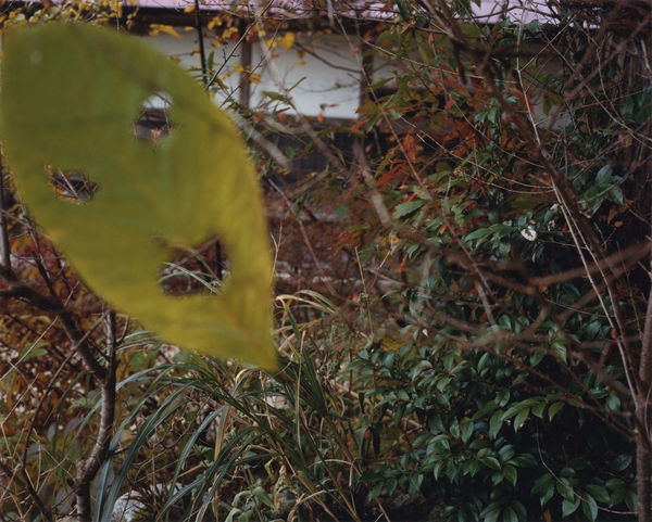 Yoko Ikeda, 0535-10 Aga Town, Niigata Prefecture, 2009
