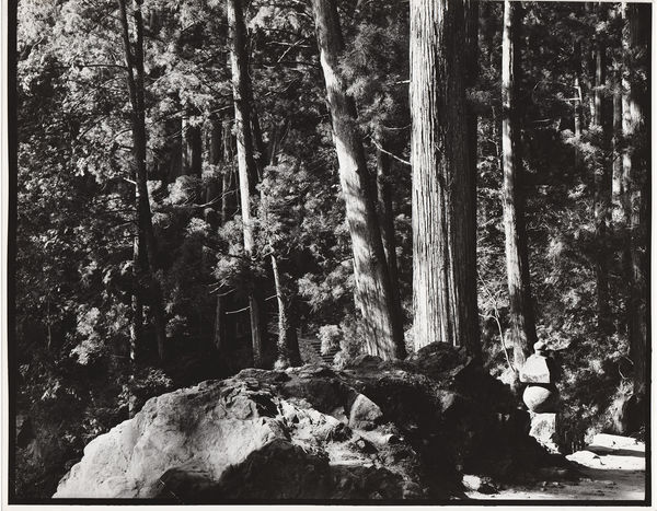 Ken Domon, Koji Junrai - Plate 062, 1963-1972