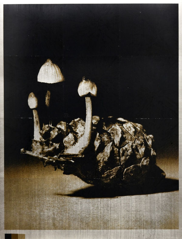 Norio Takasugi, KZR-5, 2022