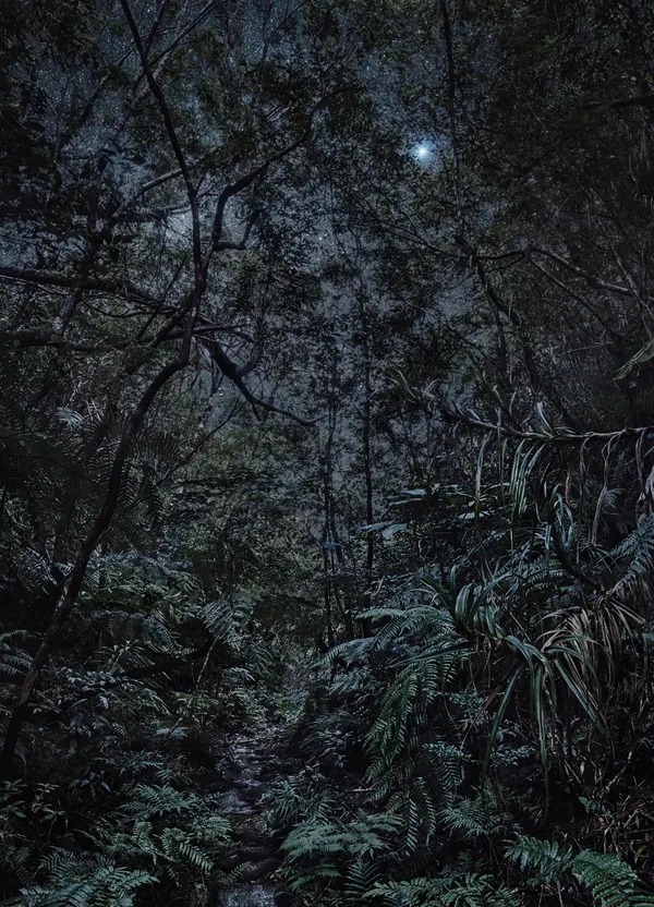 Thierry Cohen, Carbon Catchers no. 23