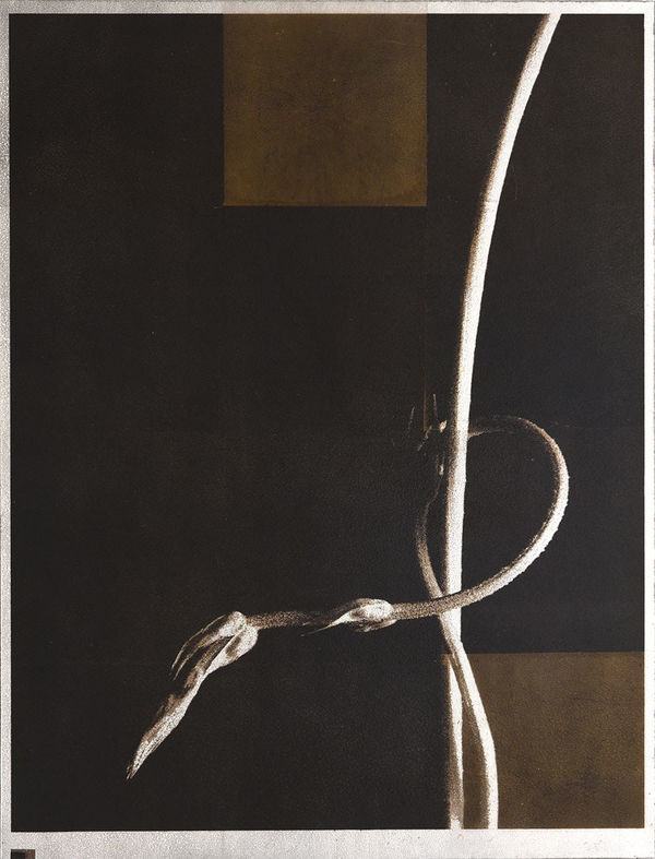 Norio Takasugi, gc-1, 2019