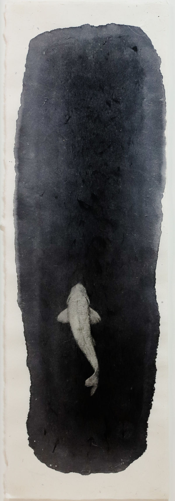 Naohiro Ninomiya, Nokomi-1, 2016