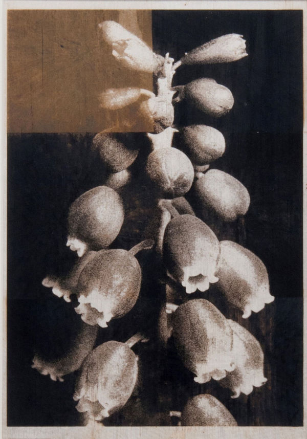 Norio Takasugi, gb-1, 2018