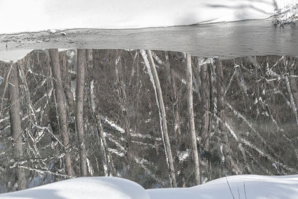 Yukari Chikura, Untitled, from Fluorite Fantasia, 2015