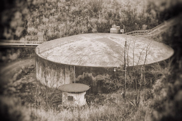 Yukari Chikura, Untitled, from Fluorite Fantasia, 2015