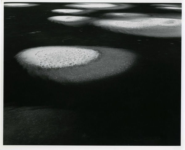 Toshio Shibata, 1979-005 Gent, Belgium, 1979