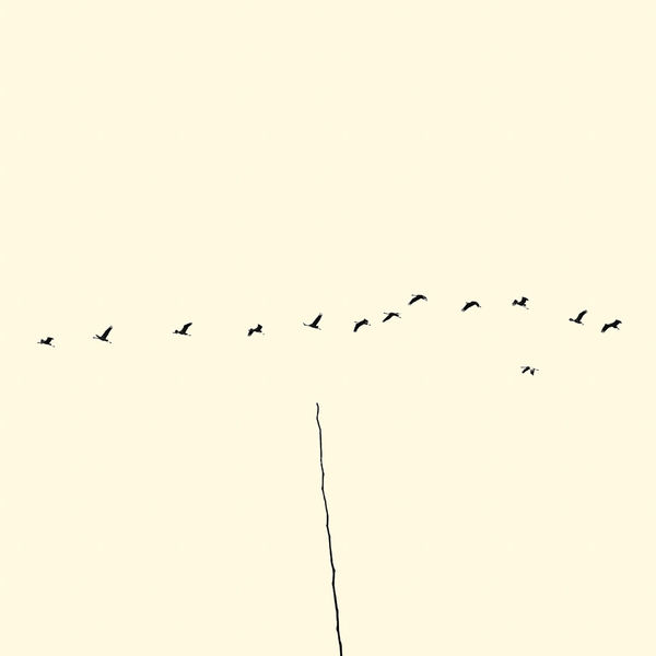 François Laxalt, Treize / Thirteen, 2015