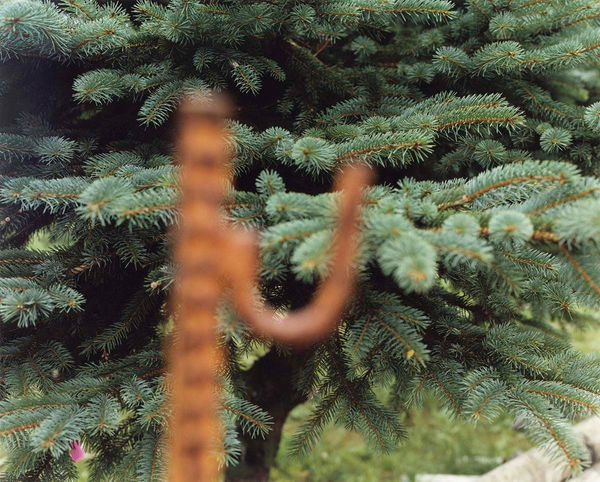 Yoko Ikeda, 1401-09 Numata Town, Hokkaido, 2016