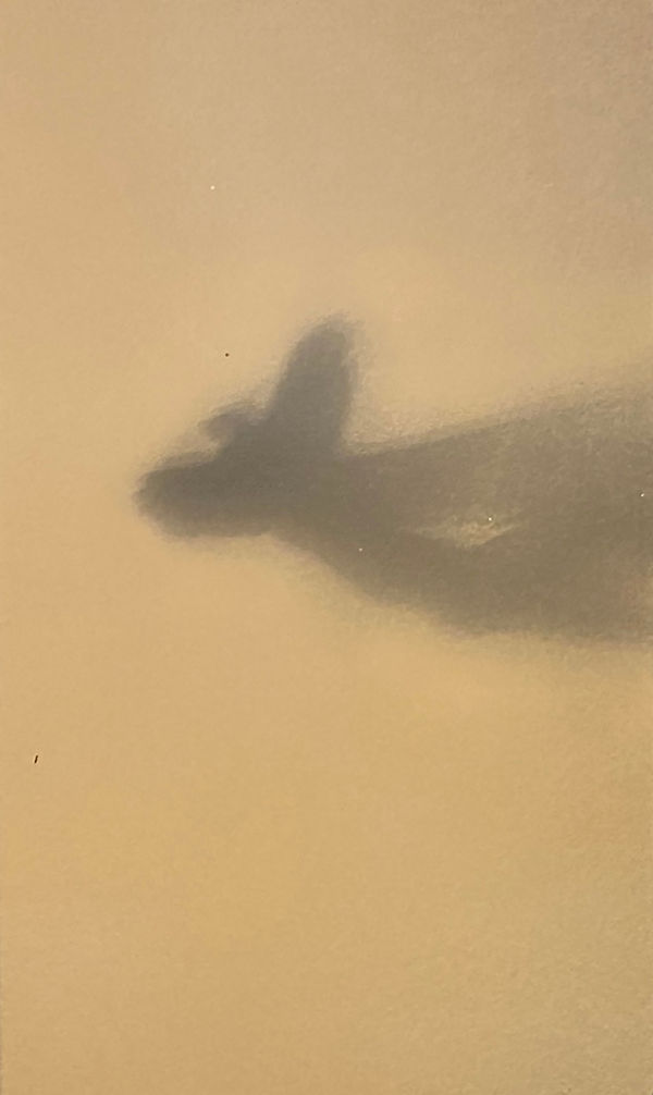 Miho Kajioka, BK0511, 2019