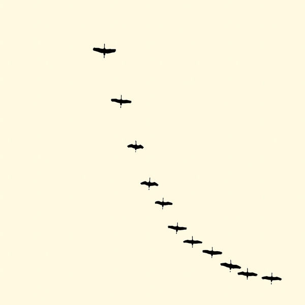 François Laxalt, Onze / Eleven, 2008