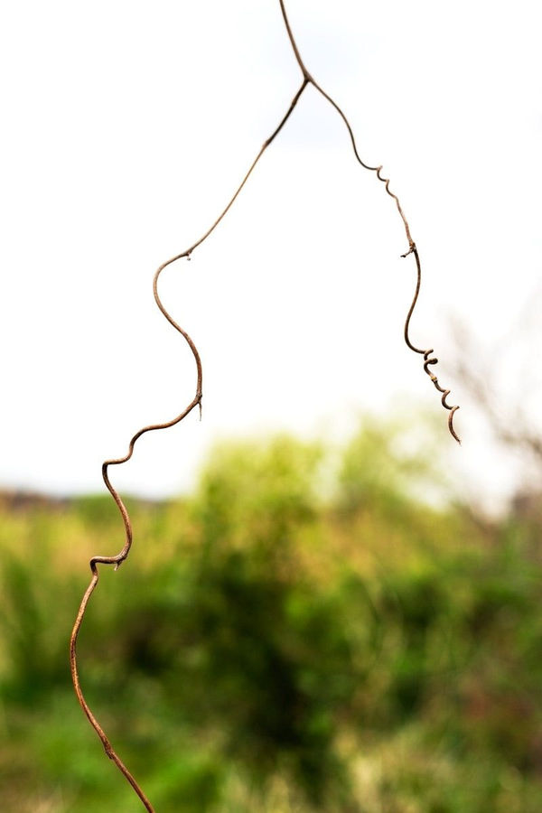 Yoshinori Mizutani, Yusurika 067, 2015