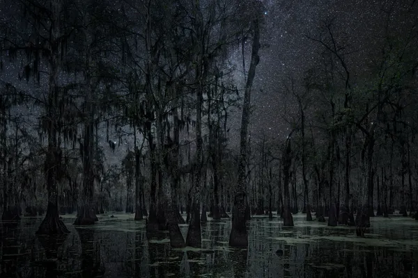 Thierry Cohen, Carbon Catchers no. 09