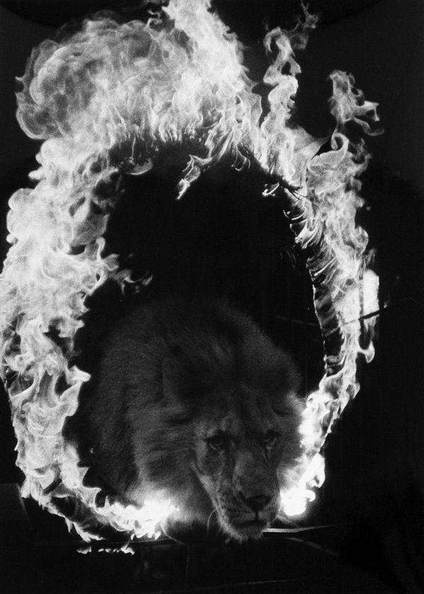 Akira Tanno, Sad Eyes, Kigure Circus, 1957