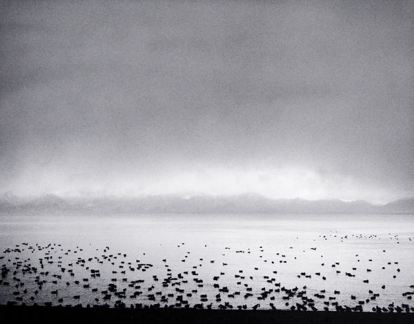 Pentti Sammallahti, Lake Inawashiro, Japan, 2005