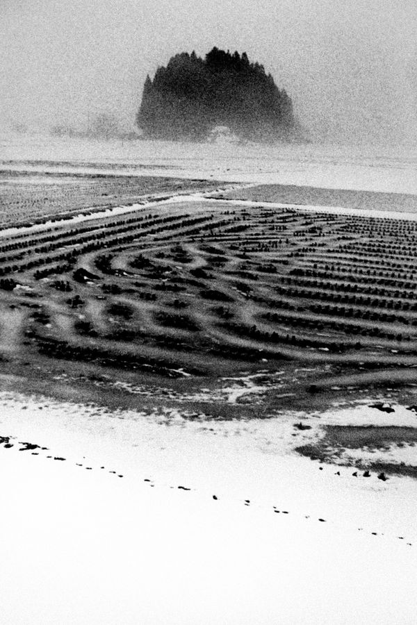 Hajime Kimura, Matagi 02, 2007-2013