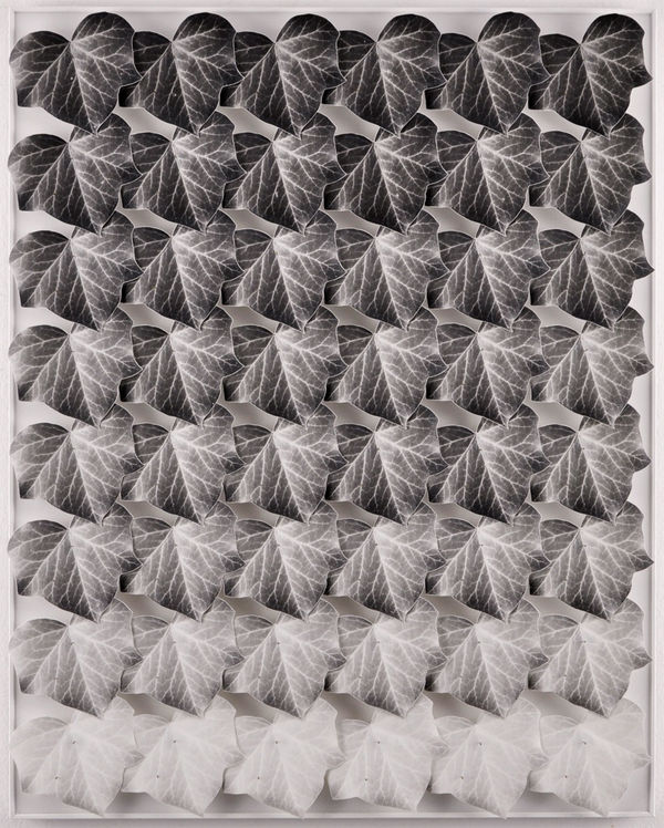 Norio Takasugi, Efeu 15-11G, 2017