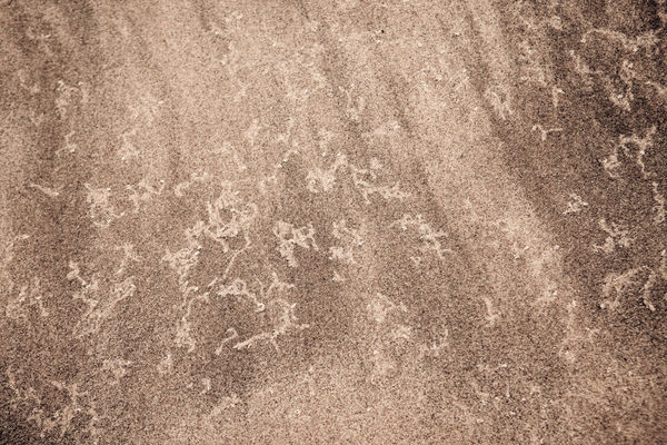 Yukari Chikura, Untitled, from Fluorite Fantasia, 2015