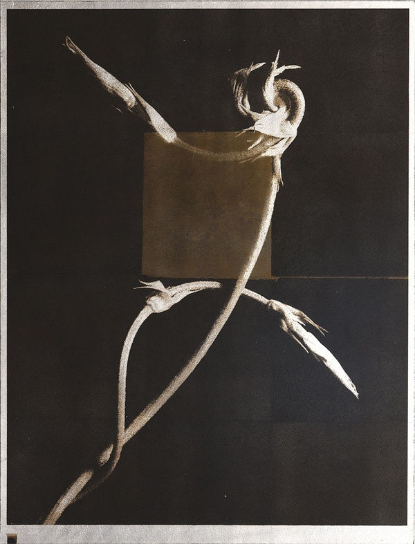 Norio Takasugi, gc-4, 2019