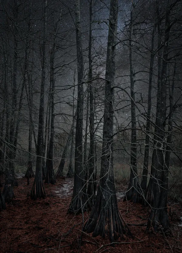 Thierry Cohen, Carbon Catchers no. 17