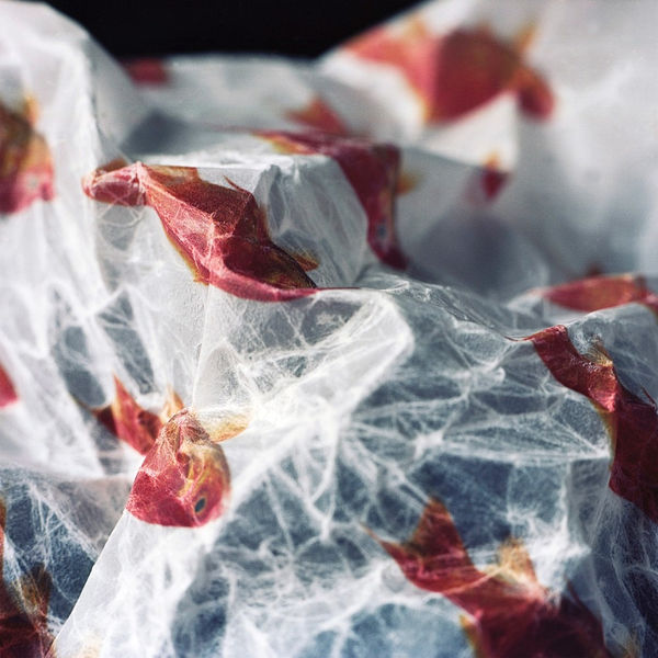 Kumi Oguro, KAT_5, 2018