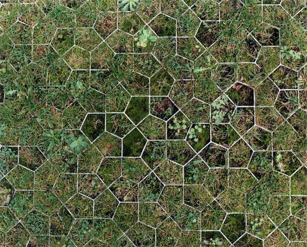 Yoko Ikeda, 1123-04 Tervuren, Belgium, 2013